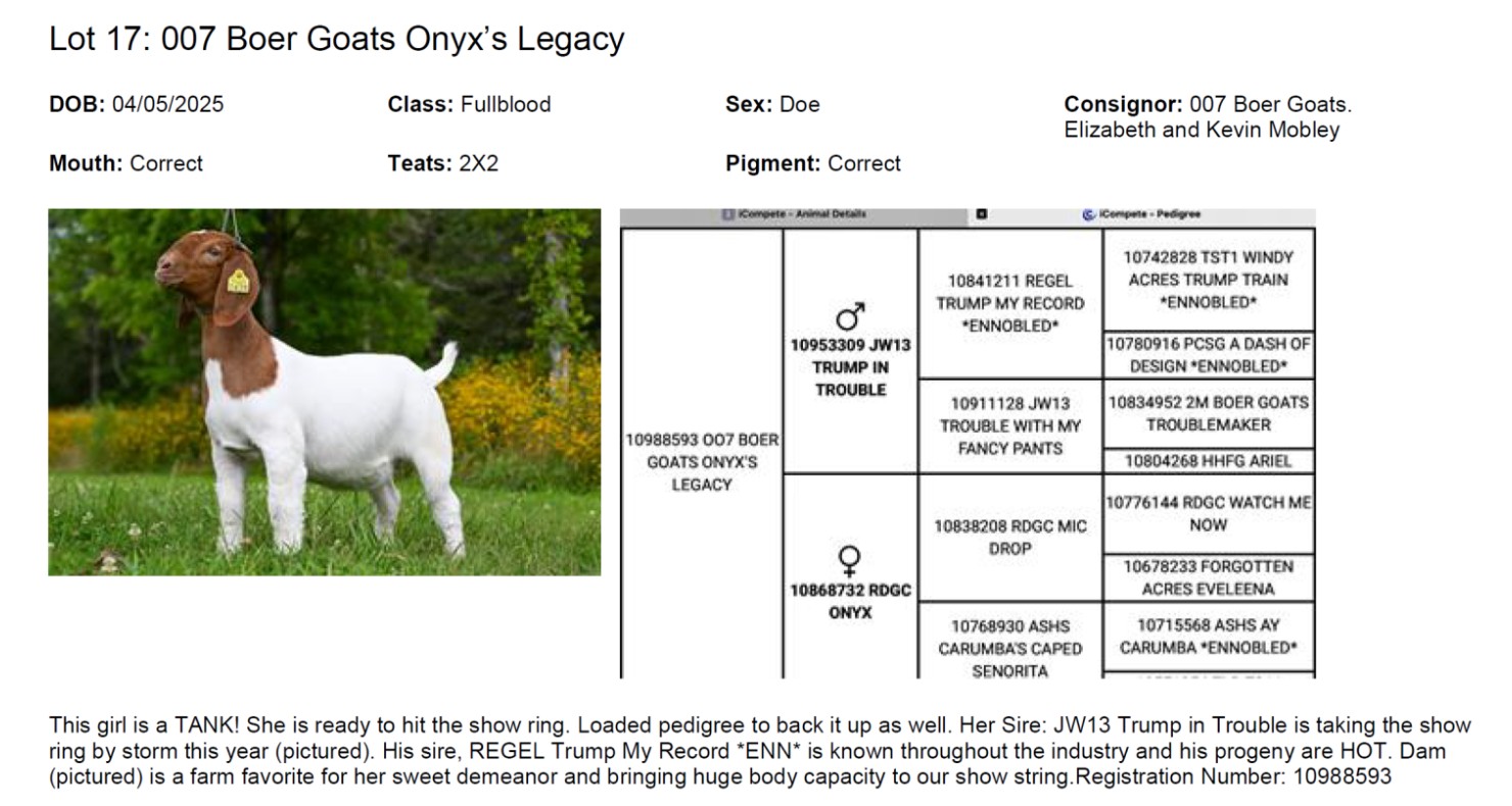 Lot 17 The Legendary Sale Fall Boer Goat Sale DVAuction