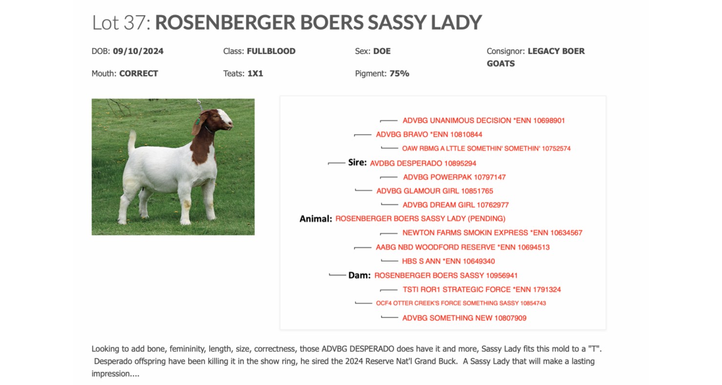 Lot 37 The Legendary Sale Spring Boer Goat Sale DVAuction