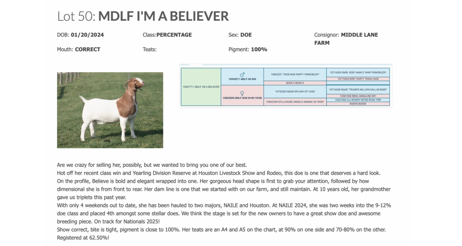Lot 50 The Legendary Sale Spring Boer Goat Sale DVAuction
