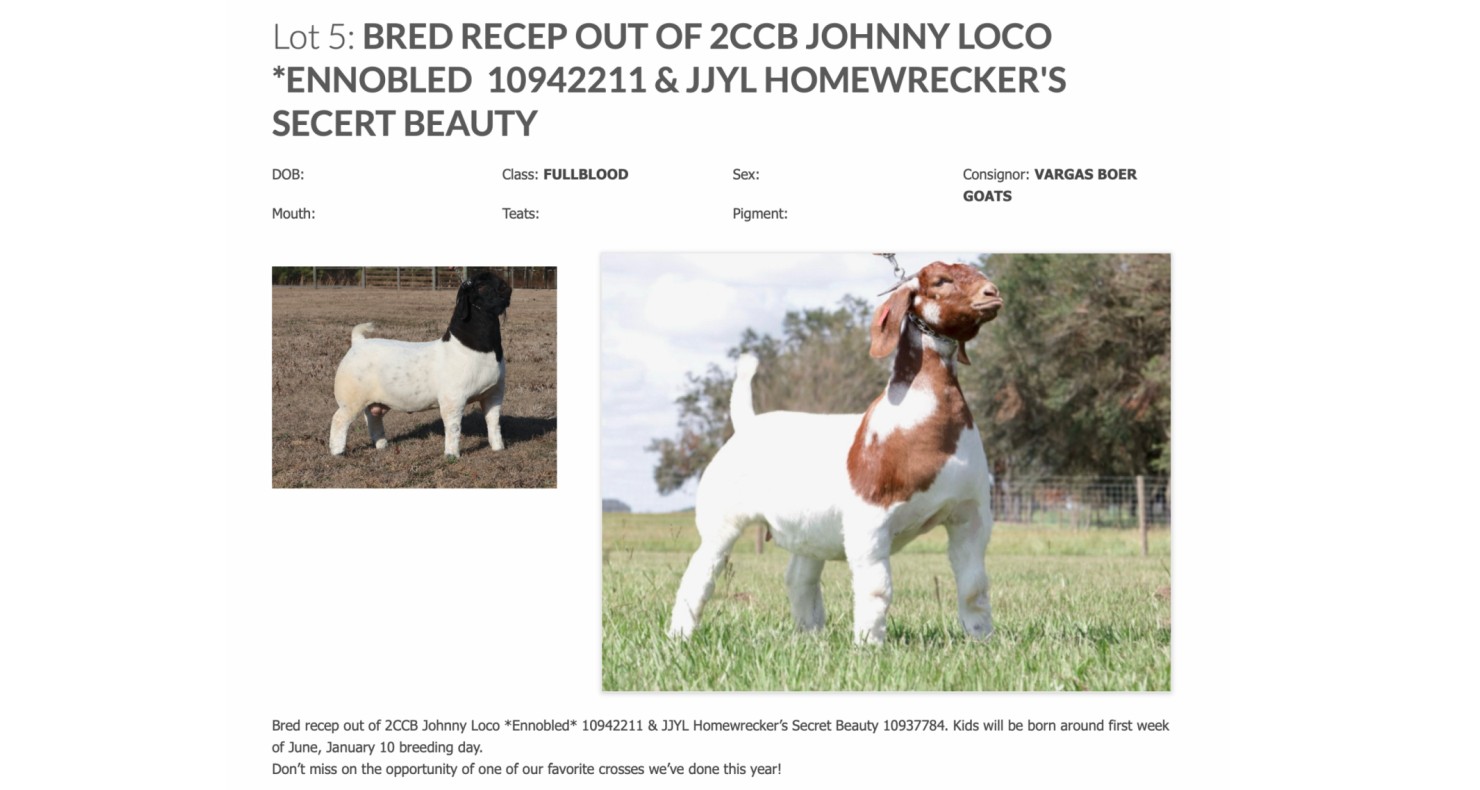 Lot 5 The Legendary Sale Spring Boer Goat Sale DVAuction