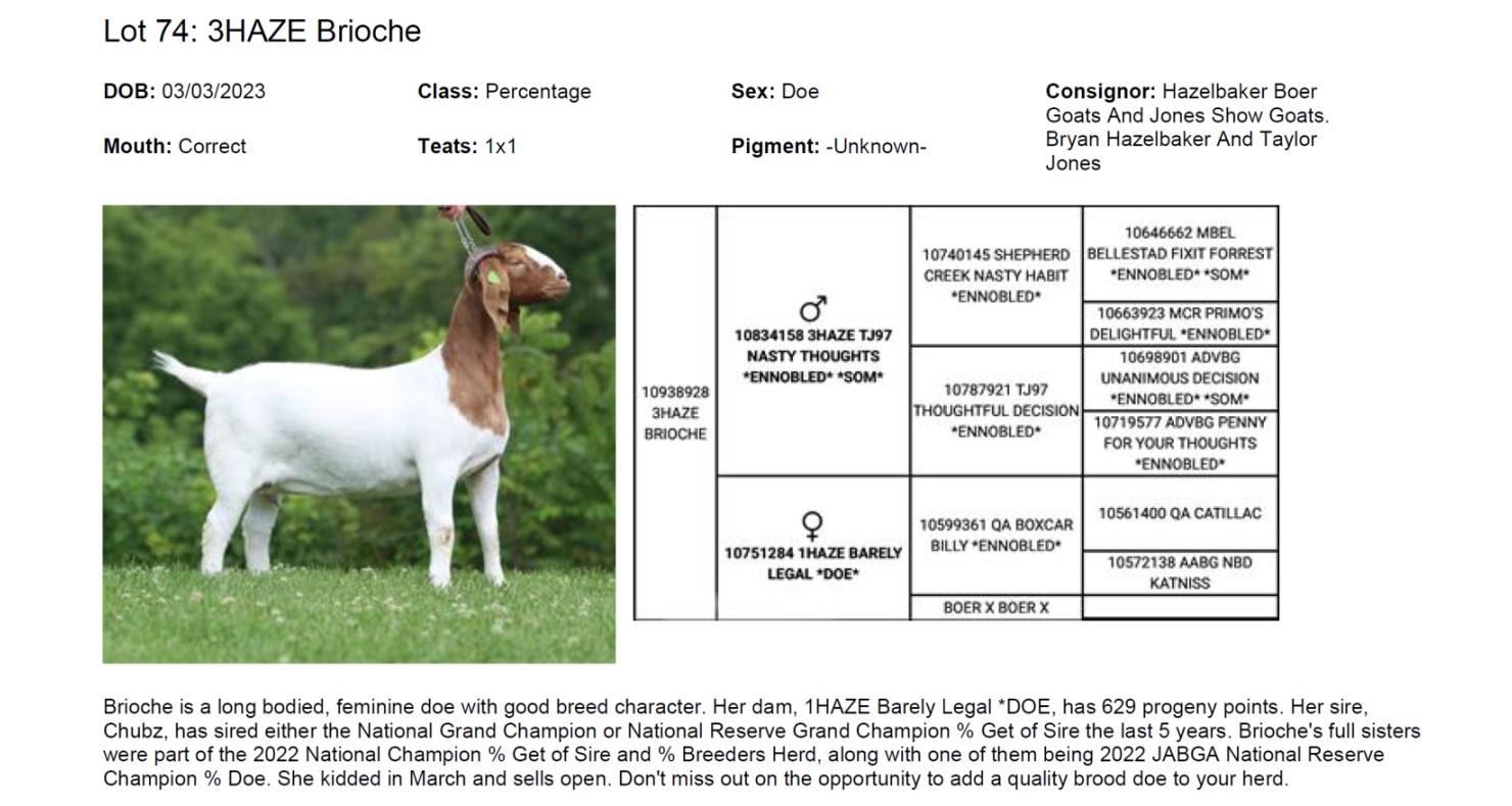 Lot 74 The Legendary Sale Fall Boer Goat Sale DVAuction