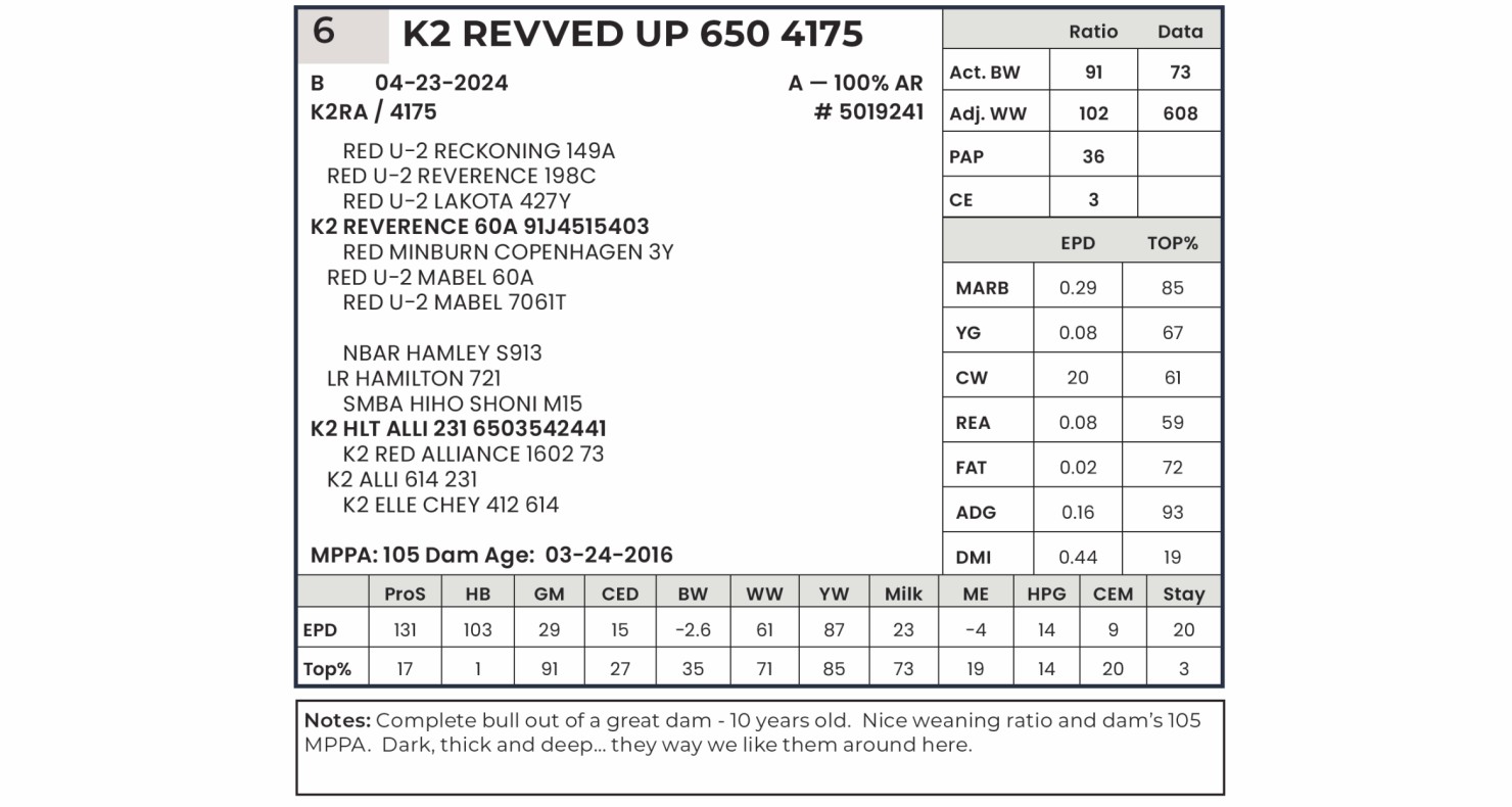 Lot 6: K2 Red Angus - K2 Spring Sale | DVAuction