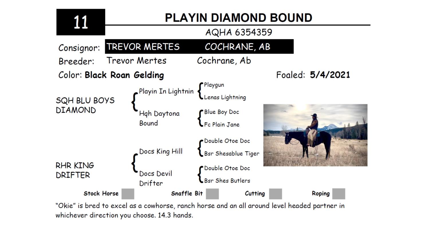 Lot 11 Red Bluff Bull & Gelding Sale Annual Gelding Sale DVAuction