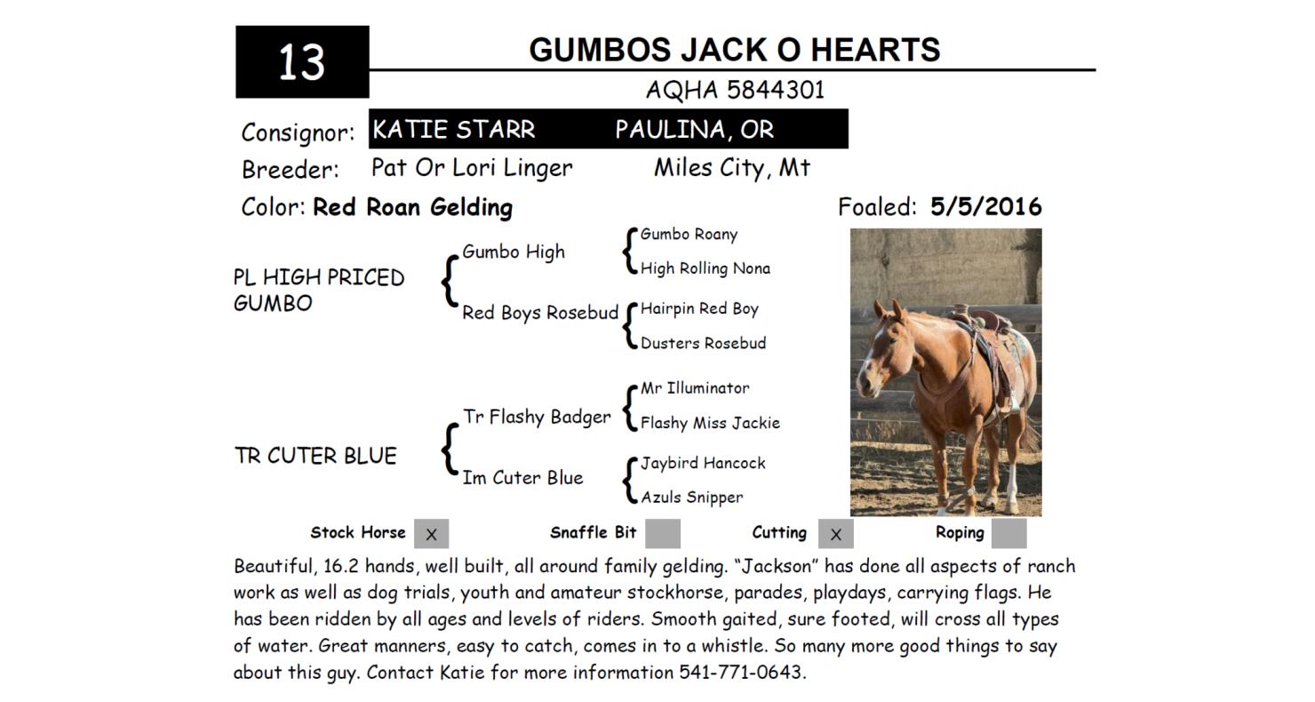 Lot 13 Red Bluff Bull & Gelding Sale Annual Gelding Sale DVAuction