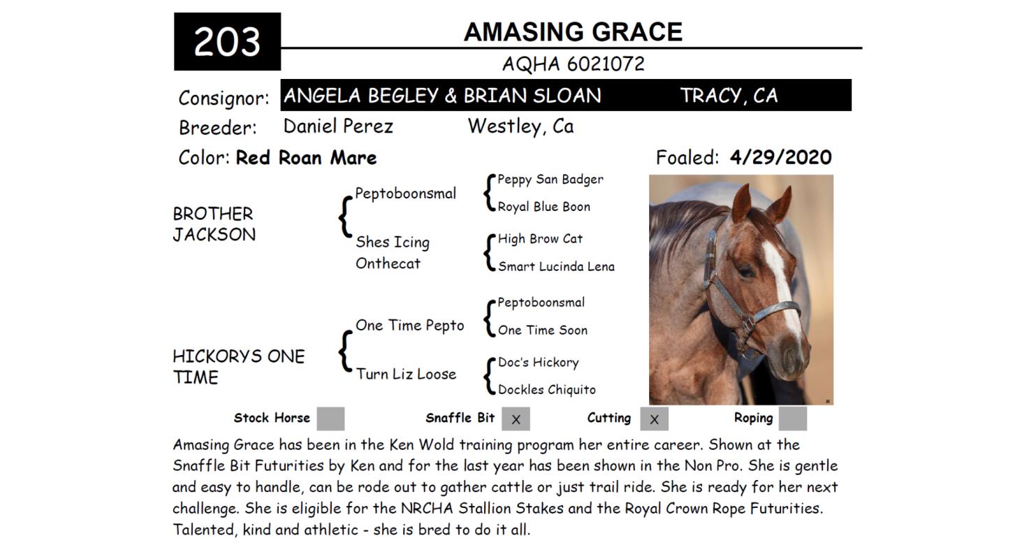 Lot 203 Red Bluff Bull & Gelding Sale Annual Gelding Sale DVAuction