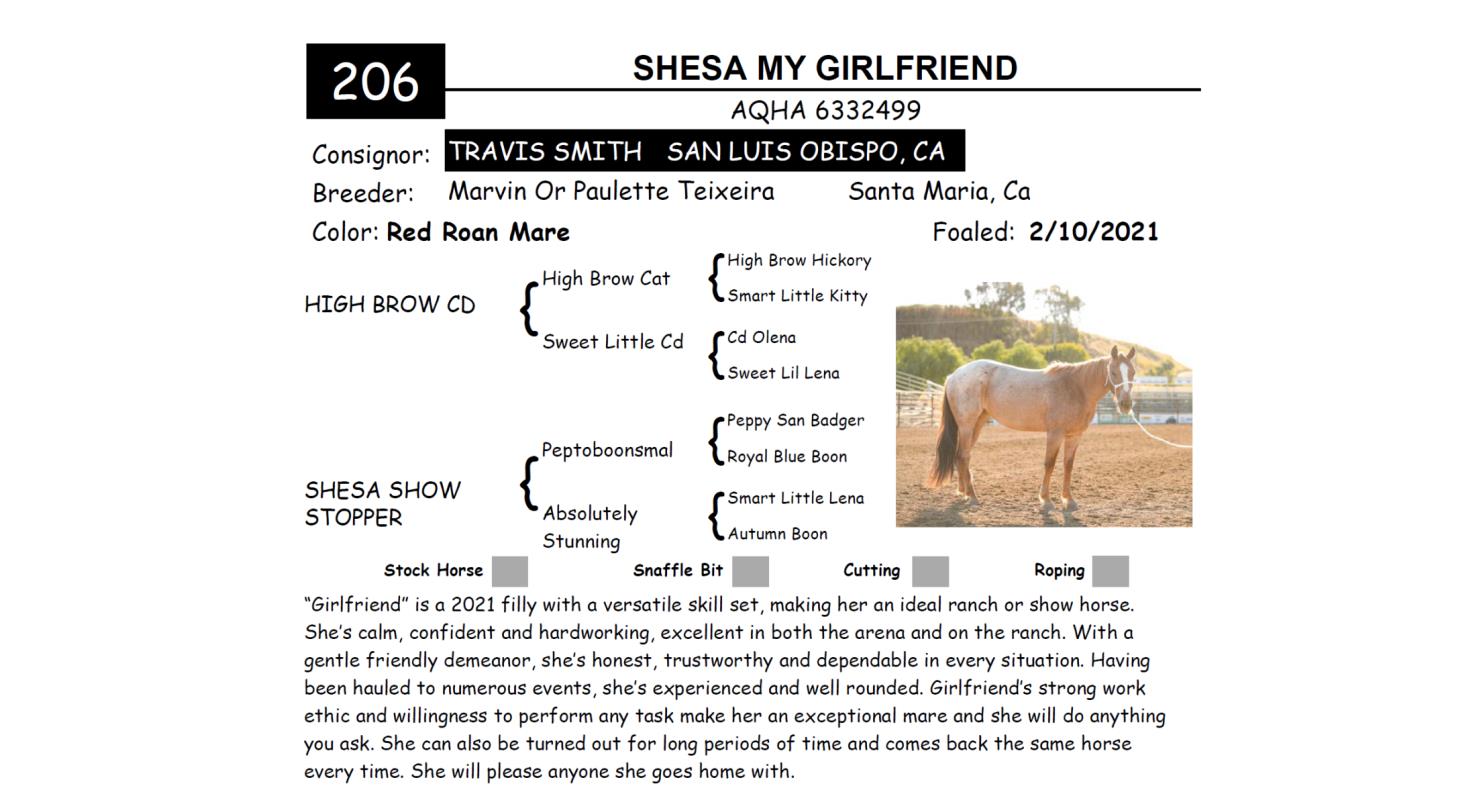 Lot 206 Red Bluff Bull & Gelding Sale Annual Gelding Sale DVAuction