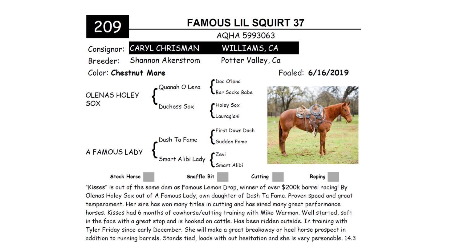 Lot 209 Red Bluff Bull & Gelding Sale Annual Gelding Sale DVAuction