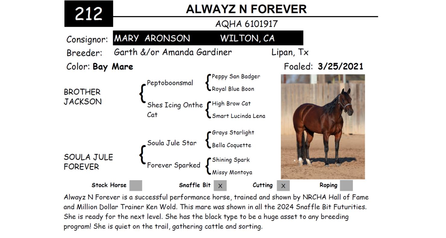 Lot 212 Red Bluff Bull & Gelding Sale Annual Gelding Sale DVAuction