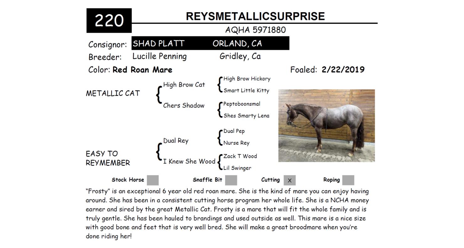 Lot 220 Red Bluff Bull & Gelding Sale Annual Gelding Sale DVAuction