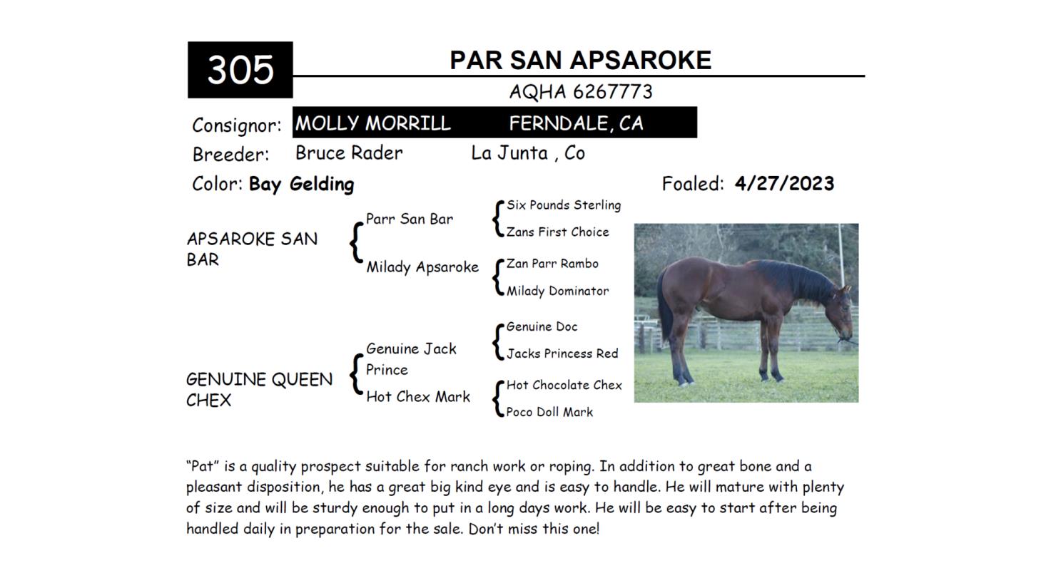 Lot 305 Red Bluff Bull & Gelding Sale Annual Gelding Sale DVAuction