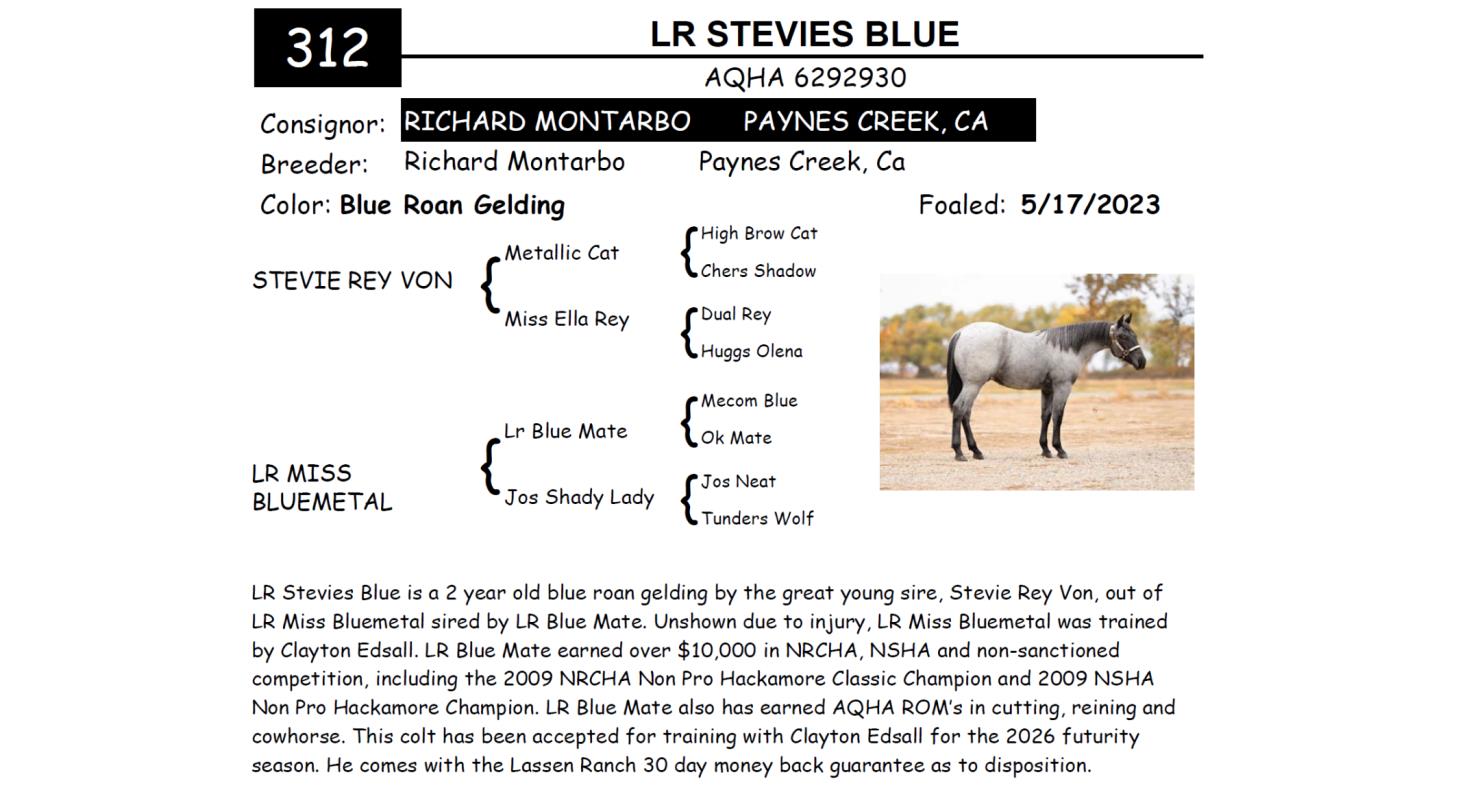 Lot 312 Red Bluff Bull & Gelding Sale Annual Gelding Sale DVAuction