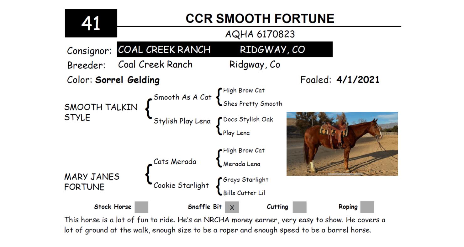 Lot 41 Red Bluff Bull & Gelding Sale Annual Gelding Sale DVAuction