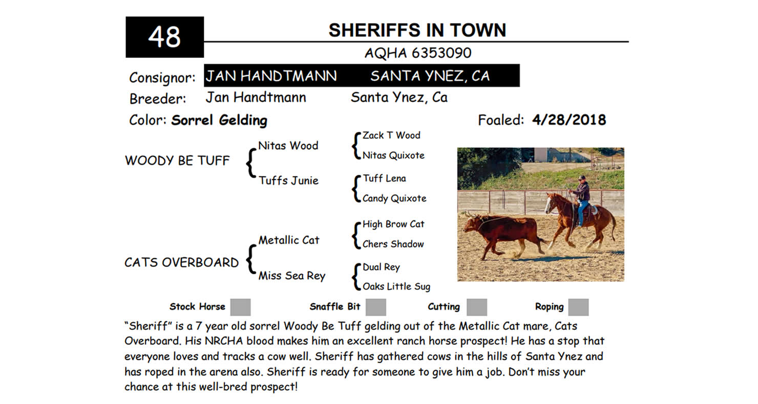 Lot 48 Red Bluff Bull & Gelding Sale Annual Gelding Sale DVAuction