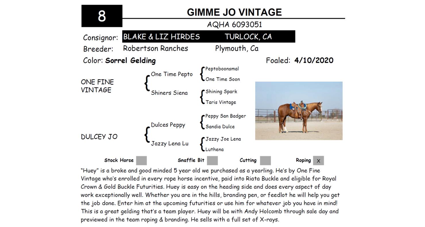 Lot 8 Red Bluff Bull & Gelding Sale Annual Gelding Sale DVAuction