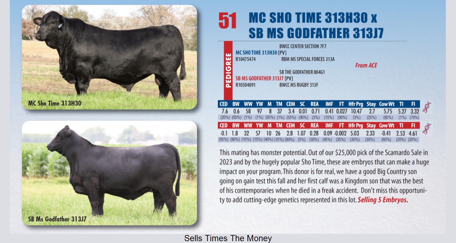 Lot 51: Southeast Brangus Breeders Association - Showcase Sale | DVAuction