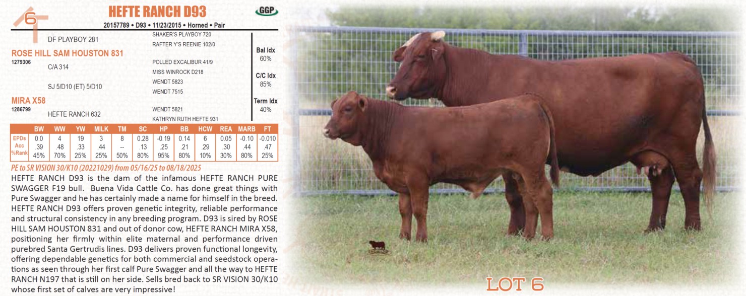 Strait Ranches Lot 6: Strait Ranches - Hefte Ranch - Tried & True Production Sale ...