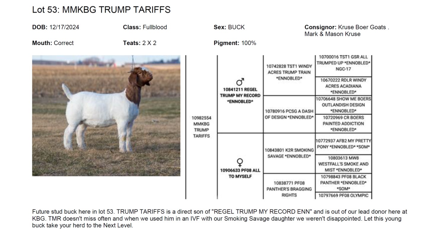 Lot 53 Top Prospect Boer Goat Sale Annual Boer Goat Sale DVAuction
