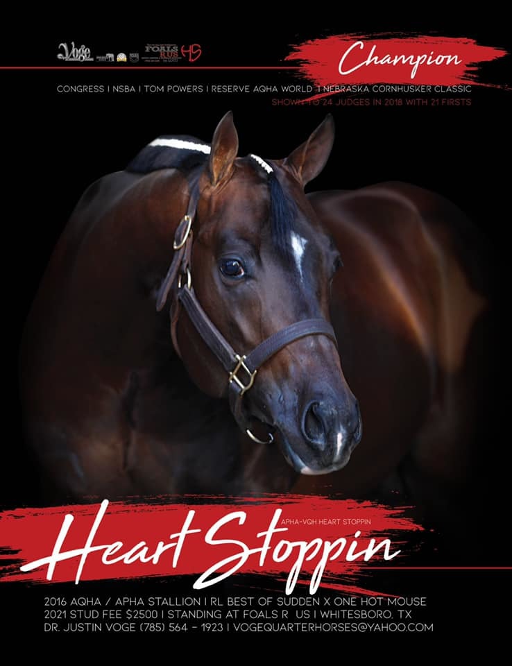 Iowa Quarter Horse Association Lot 20 Heart Stoppin/VQH Heart