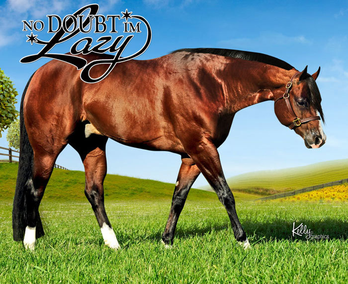 Lot 26 No Doubt Im Lazy, 2006 Bay, AQHA No. 5204886 Breeder's