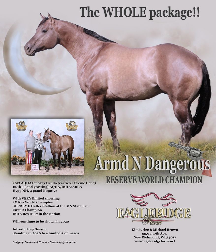 Lot 88 Armd N Dangerous, 2017 Grullo, AQHA No. 5804072 Breeder's