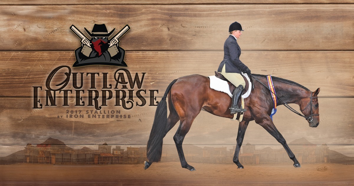 Lot 96 Outlaw Enterprise, 2017 Bay, AQHA No. 5847508 Breeder's