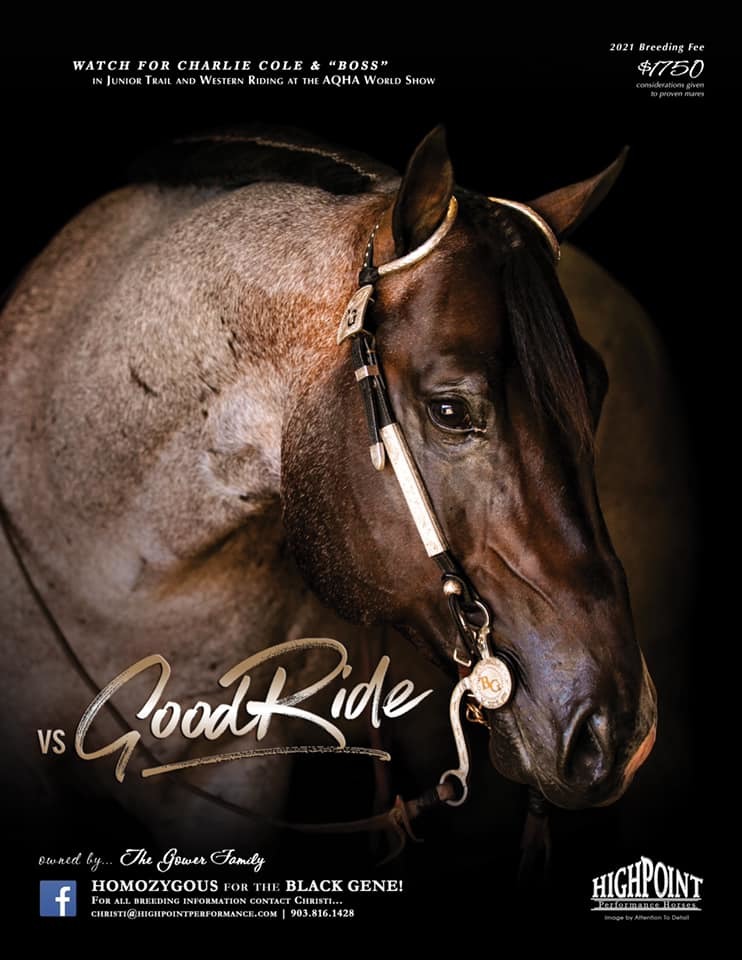 Lot 98 VS Goodride, 2015 Bay Roan, AQHA No. 5678650 Breeder's