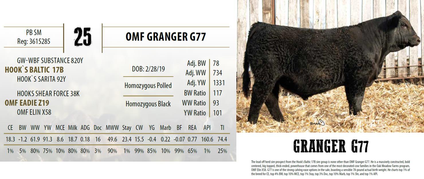 DVAuction Lot 25 Oak Meadow Farms 2nd Annual Production Sale