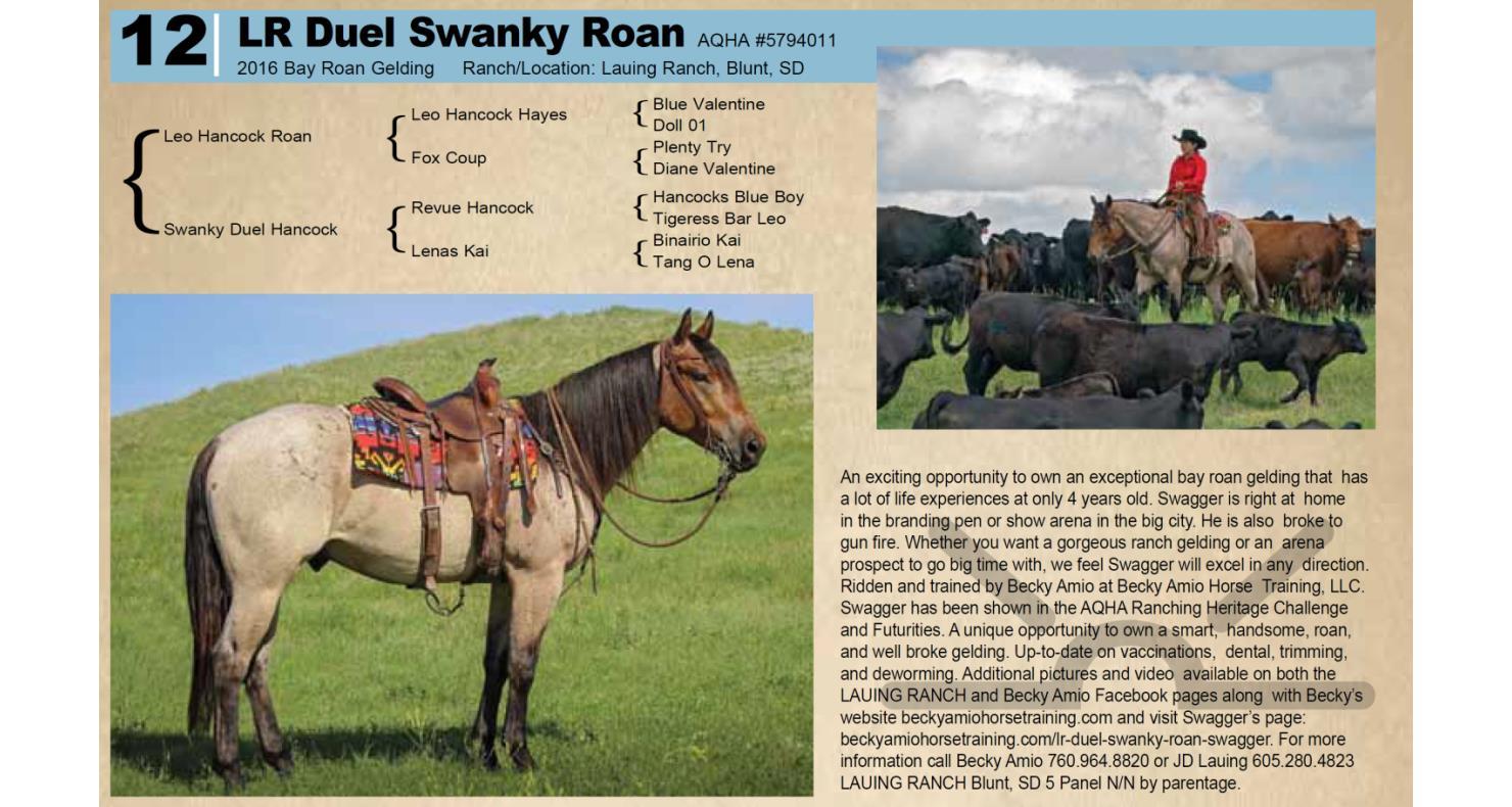 Lot 12 - LR DUEL SWANKY ROAN #5794011 - Online Only Horse ...
