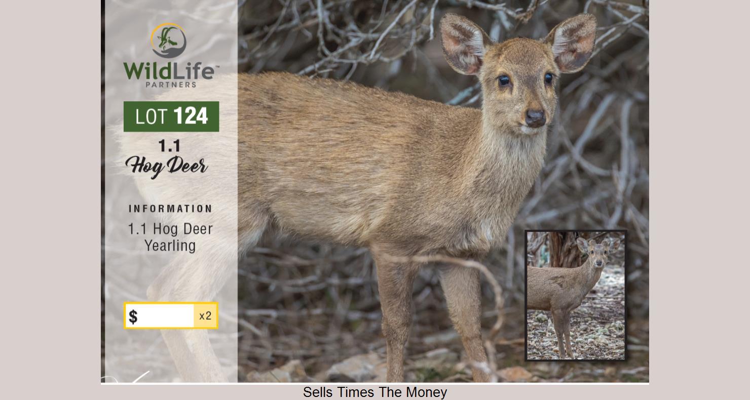 DVAuction Lot 124 WildLife Partners Super Exotic Wildlife Auction