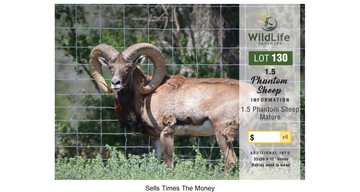 DVAuction Lot 130 WildLife Partners Super Exotic Wildlife Auction
