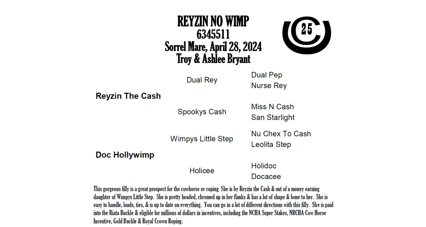 Lot 25 Cudd Quarter Horses Annual Production Sale DVAuction