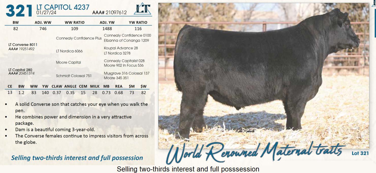 Lot 321 Lindskov's LT Ranch 44th Annual Charolais & Angus Bull Sale