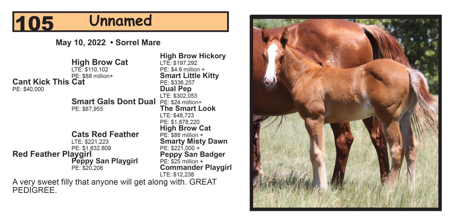 DVAuction Lot 105 Krogman Quarter Horses 70th Annual Horse Sale