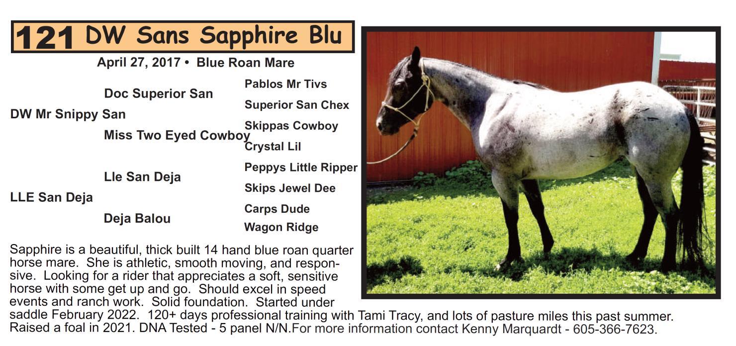 DVAuction Lot 121 Krogman Quarter Horses 70th Annual Horse Sale