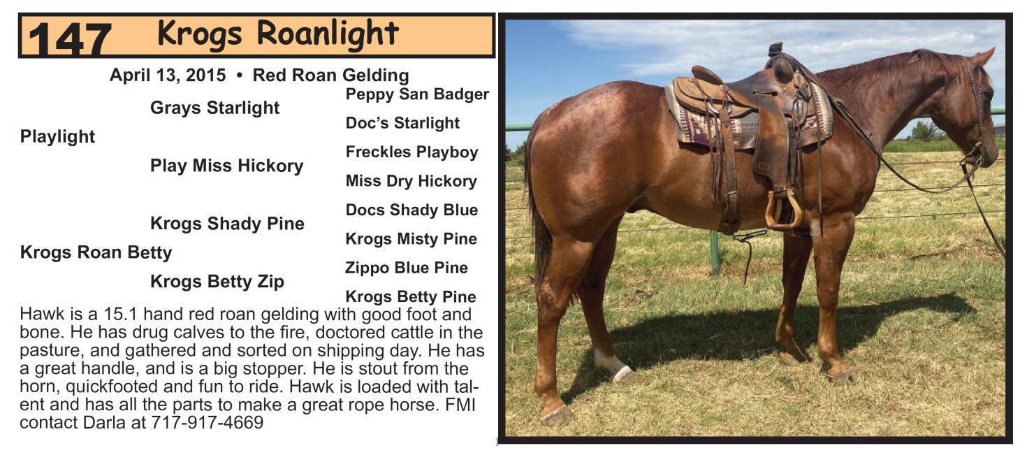 DVAuction Lot 147 Krogman Quarter Horses 70th Annual Horse Sale