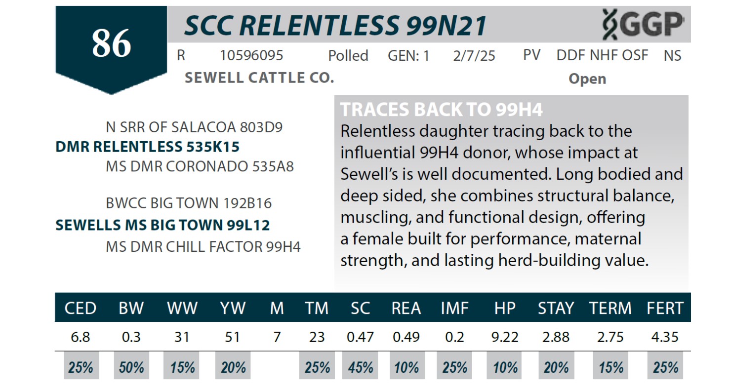 Lot 86: CDP Brangus - Spring Female Sale | DVAuction