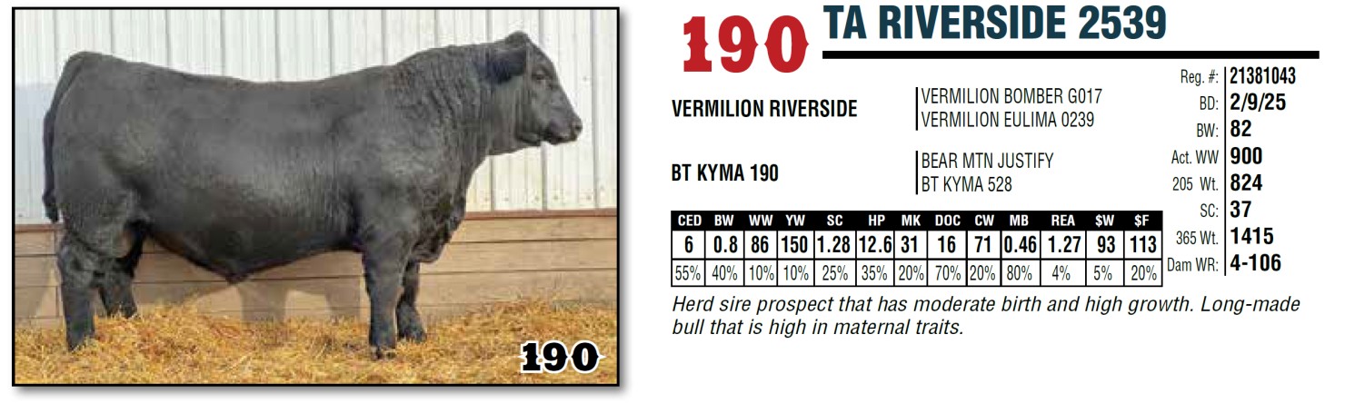 Lot 190: Thompson Angus - Annual Production Sale | DVAuction