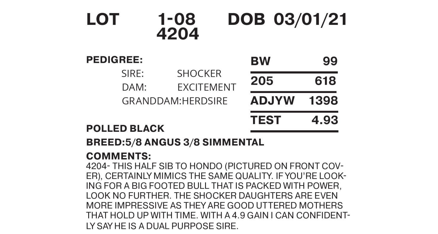 Larges Farms Inc. SimAngus & Angus Lot 8 4204 RED Larges Farms