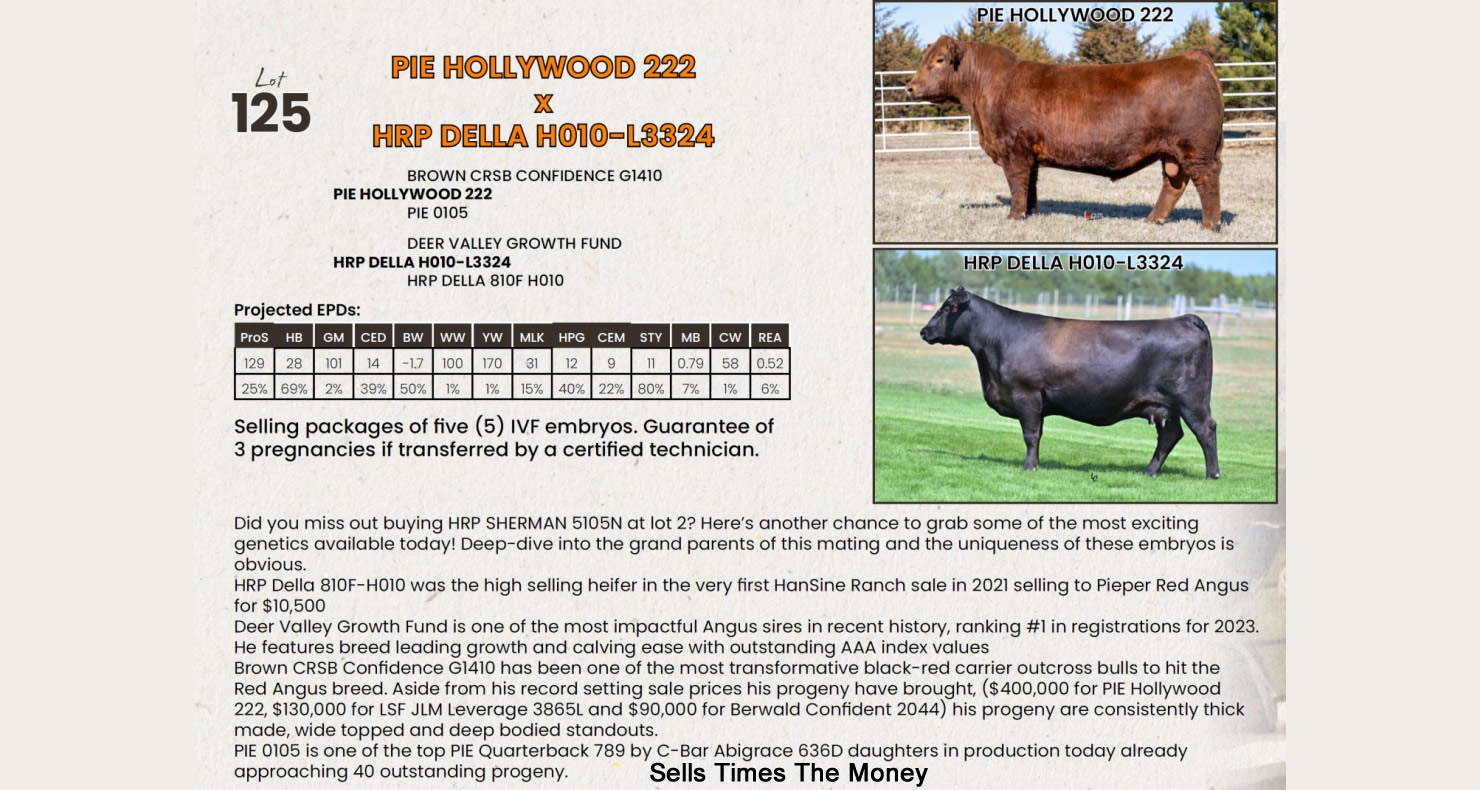 Dv Action Lot 125: Hansine Ranch - Hansine Bull & Female Sale | DVAuction