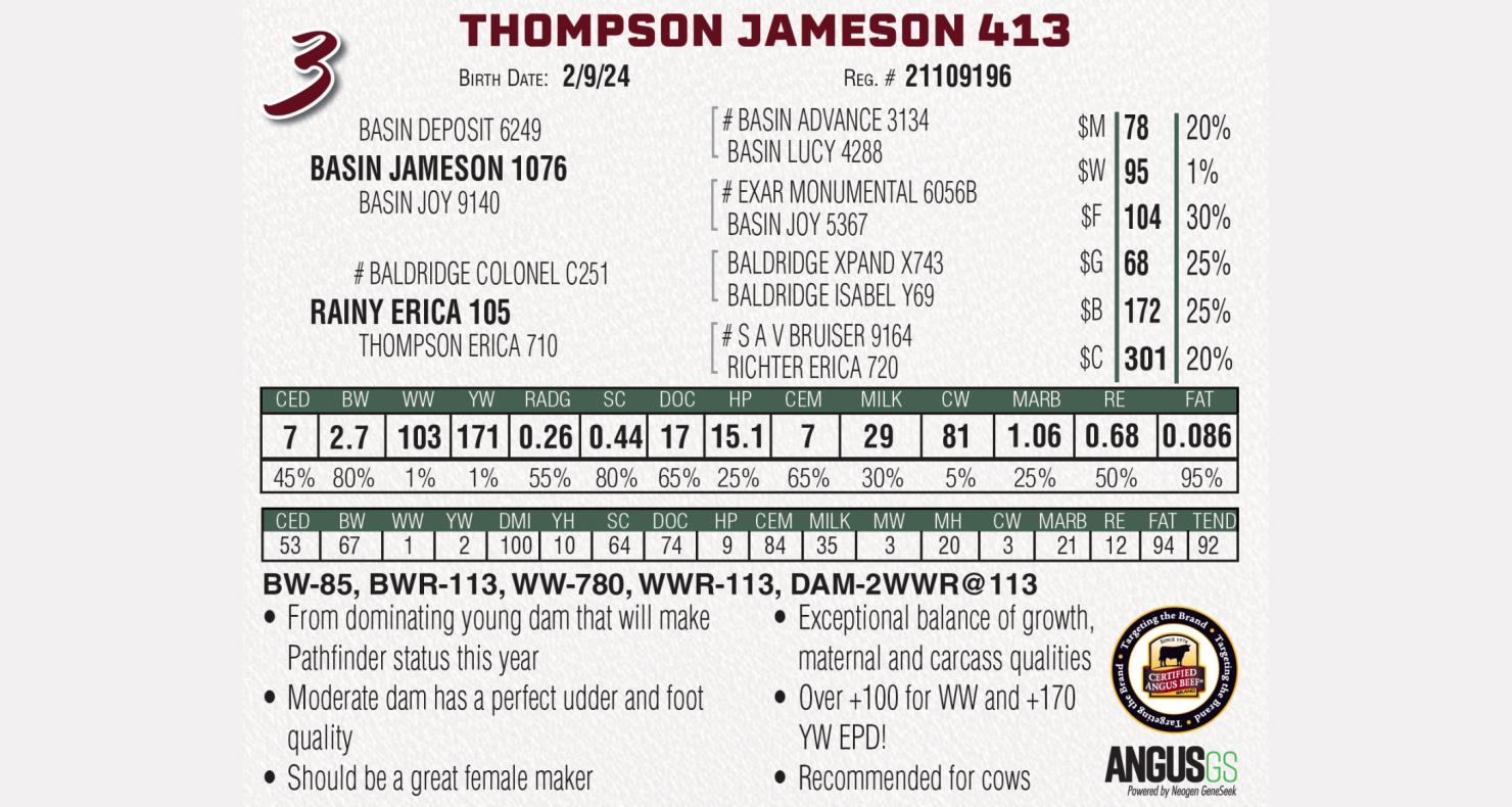 Lot 3: Thompson Angus Farms - Focus on the Future 8th Annual Sale ...