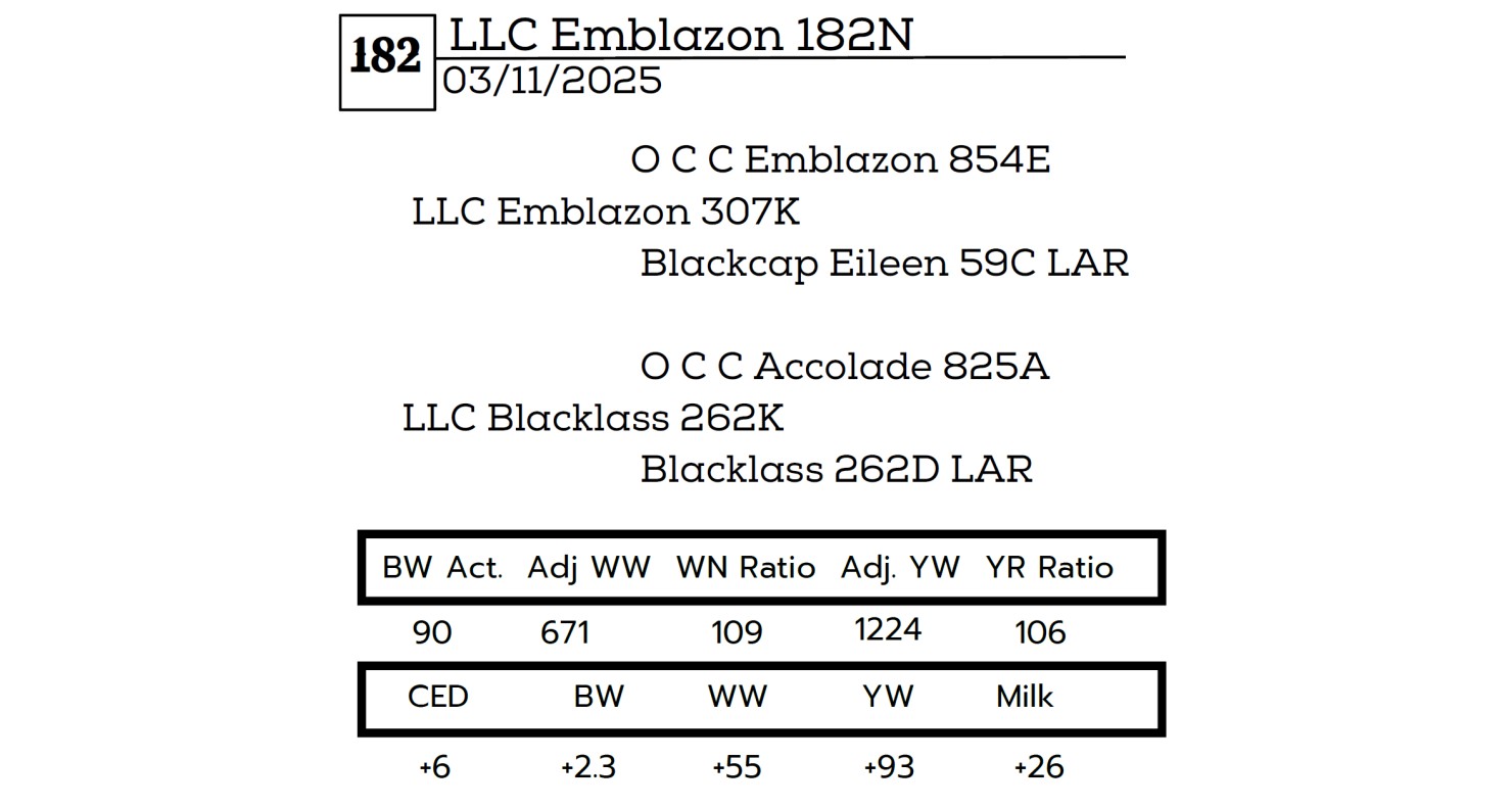 Emblazon Lot 182 - LLC Emblazon 307 182N: Littau Land and Cattle - Annual Online ...