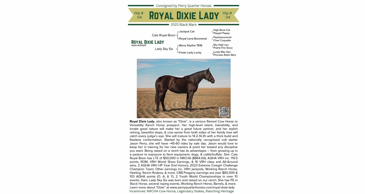Lot 04 CSU Legends of Ranching Performance Horse Sale Legends of