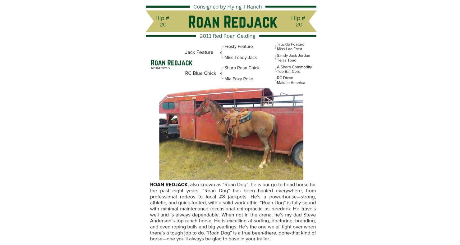 Lot 20 CSU Legends of Ranching Performance Horse Sale Legends of