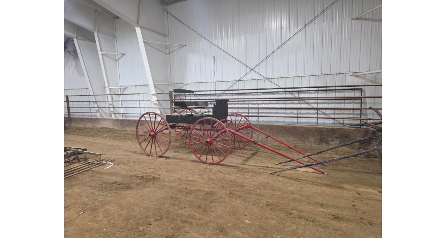 buggyred: R&J Horse Sale - All Breeds Horse Sale | DVAuction