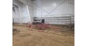 buggyred: R&J Horse Sale - All Breeds Horse Sale | DVAuction