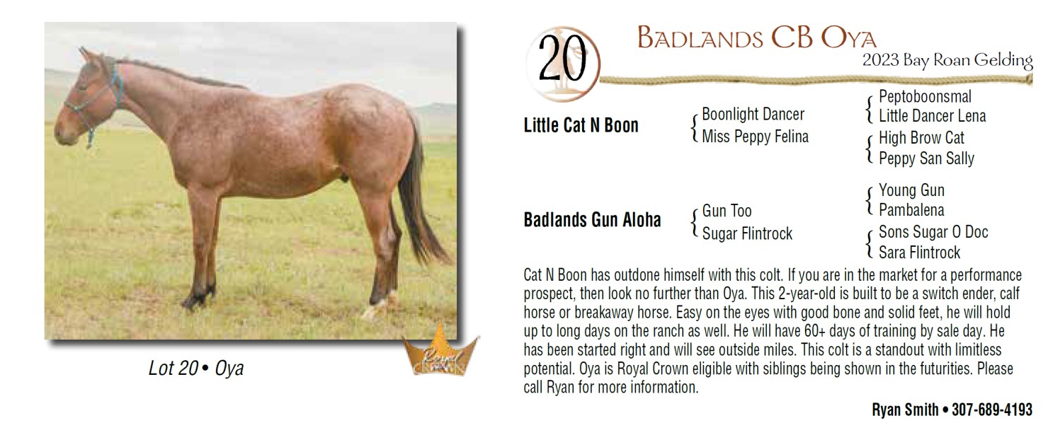 Lot 20 Sperry Horses Invitational Consignment Horse Sale DVAuction