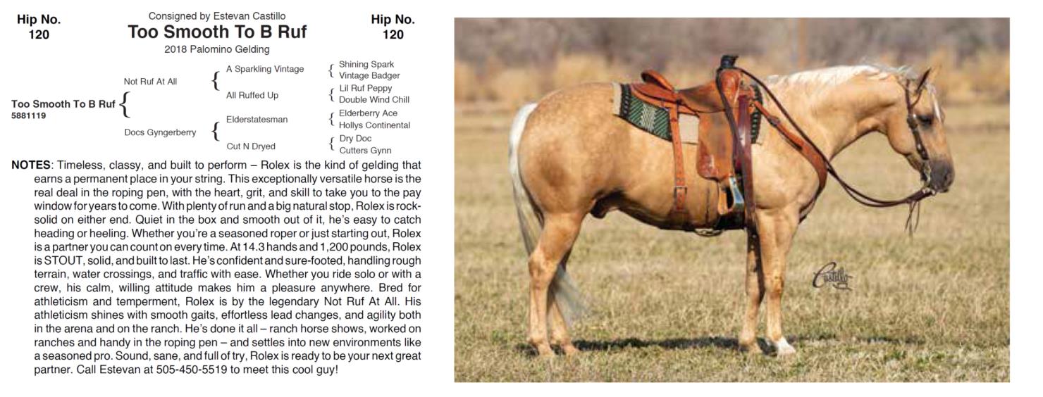 Lot 120 Hershberger Performance Horses 20th Annual Hershberger