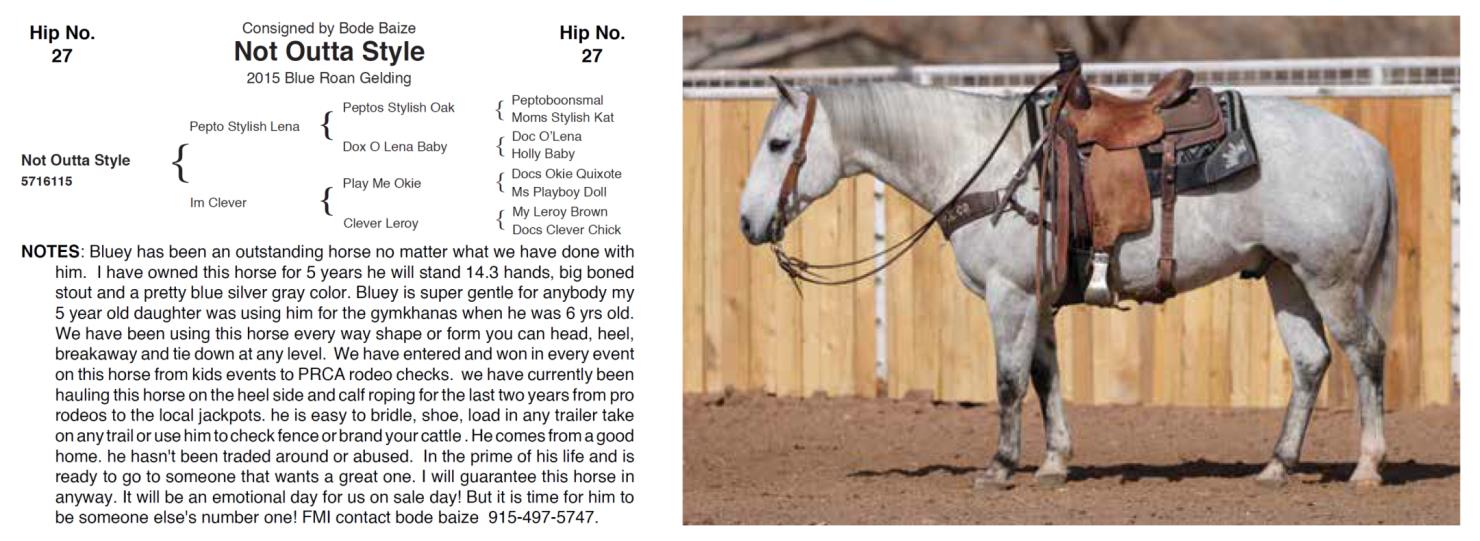 Lot 27 Hershberger Performance Horses 20th Annual Hershberger