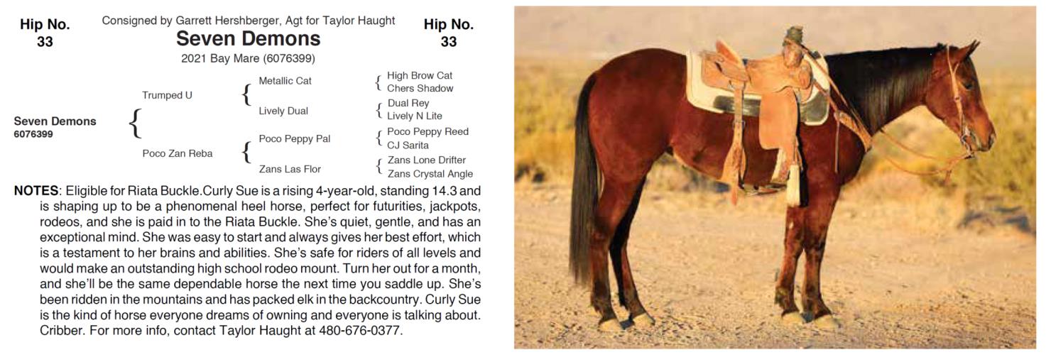 Lot 33 Hershberger Performance Horses 20th Annual Hershberger