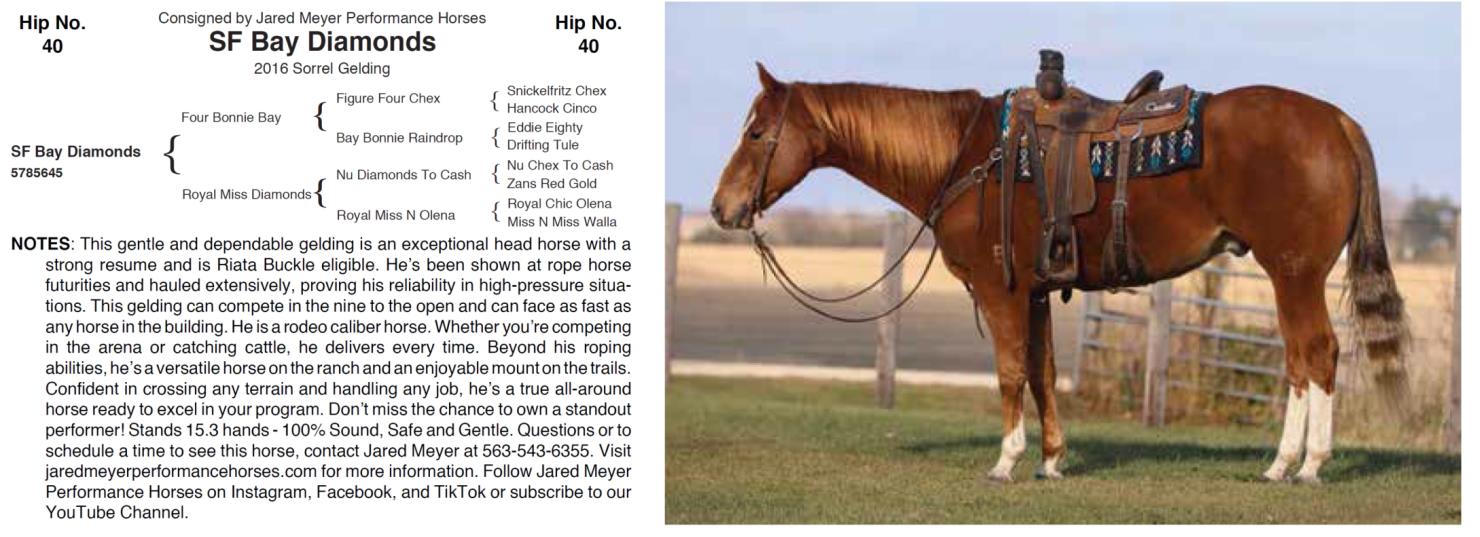 Lot 40 Hershberger Performance Horses 20th Annual Hershberger